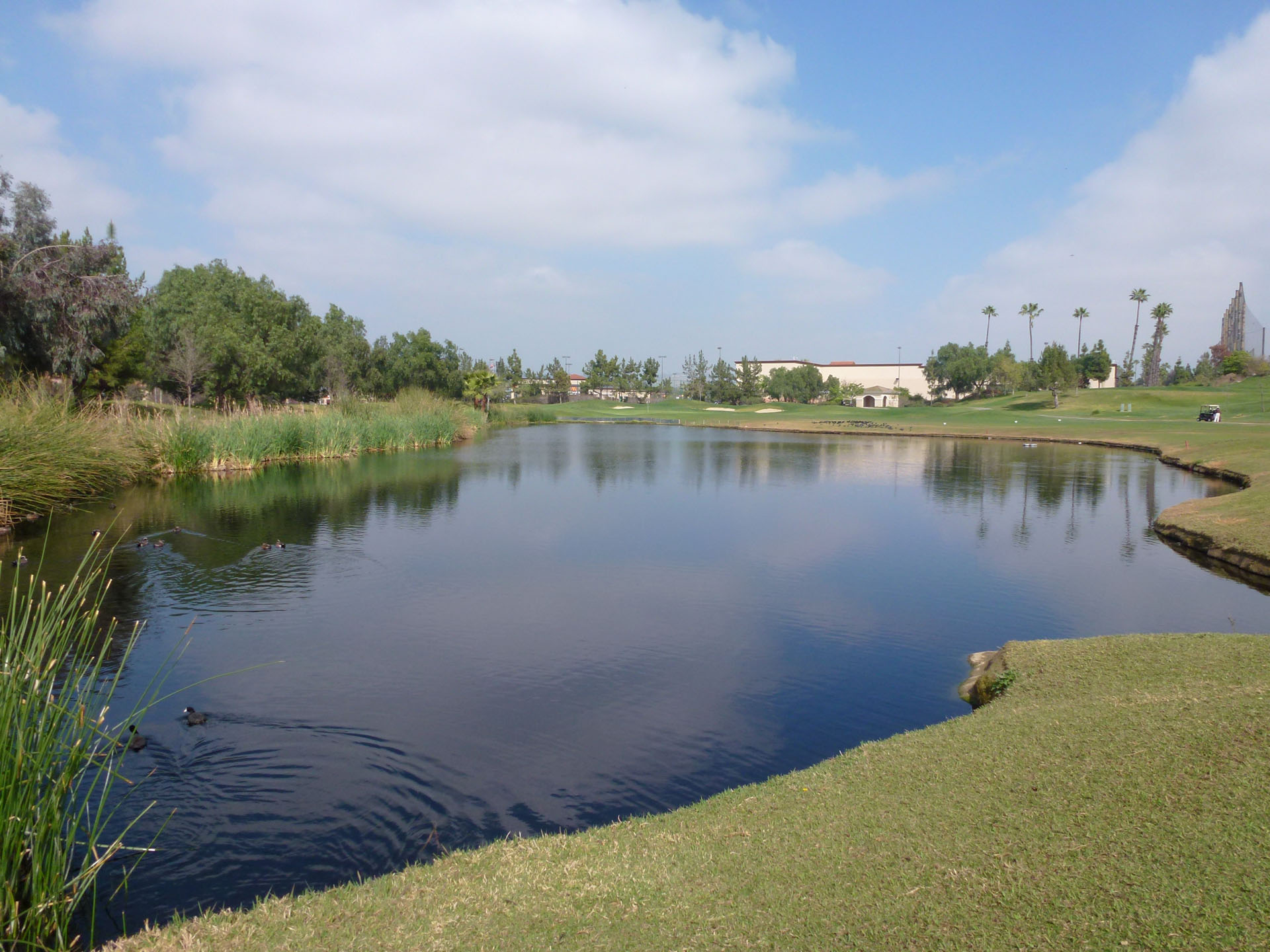 Greens and lake 