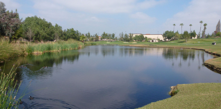 Lake view