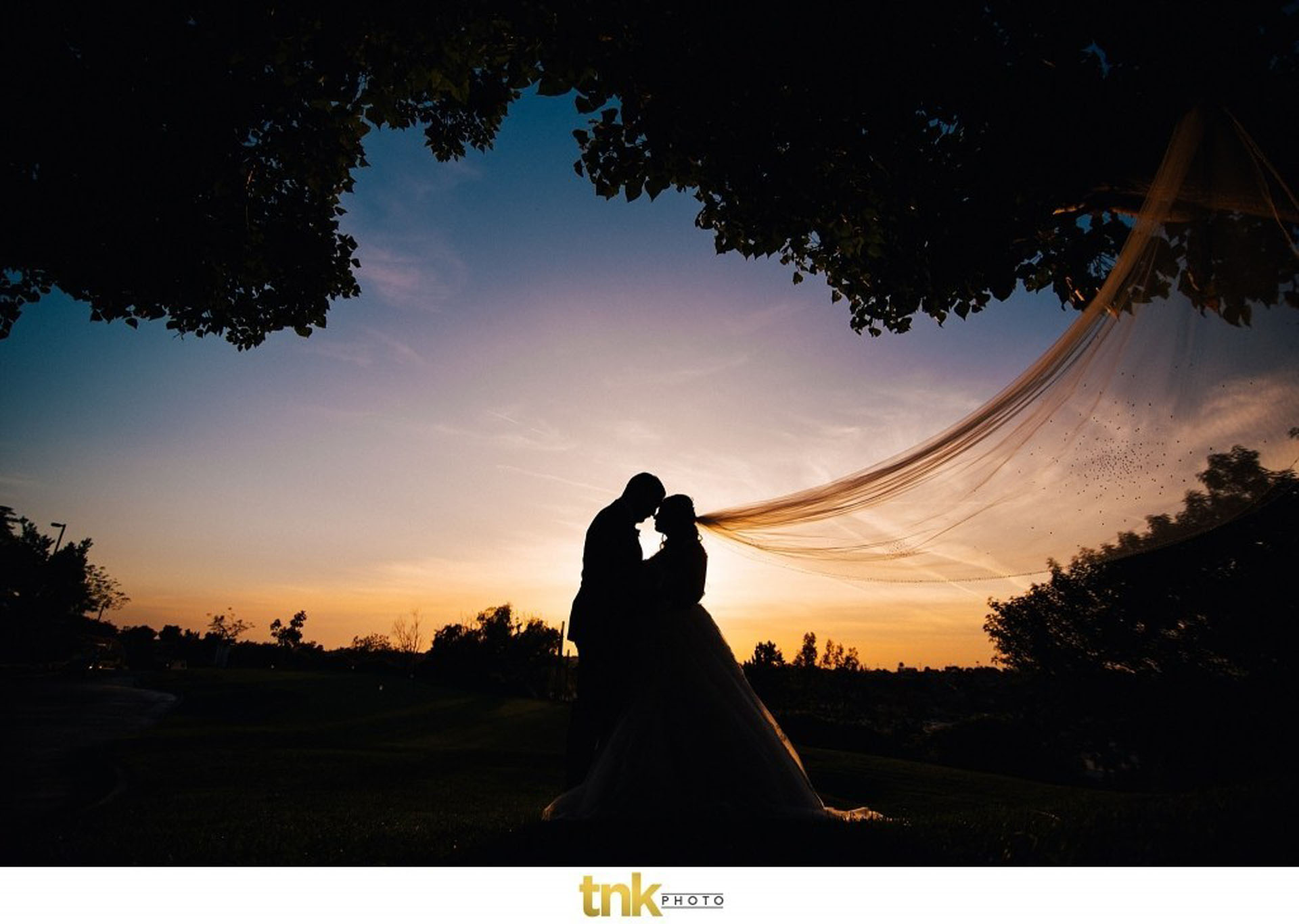 wedding couple photo in the evening 